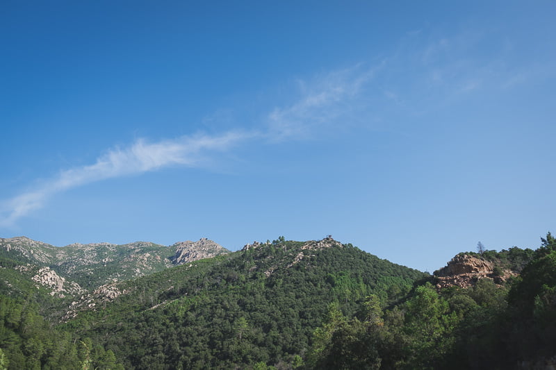 Post wedding family session in Corsica 6