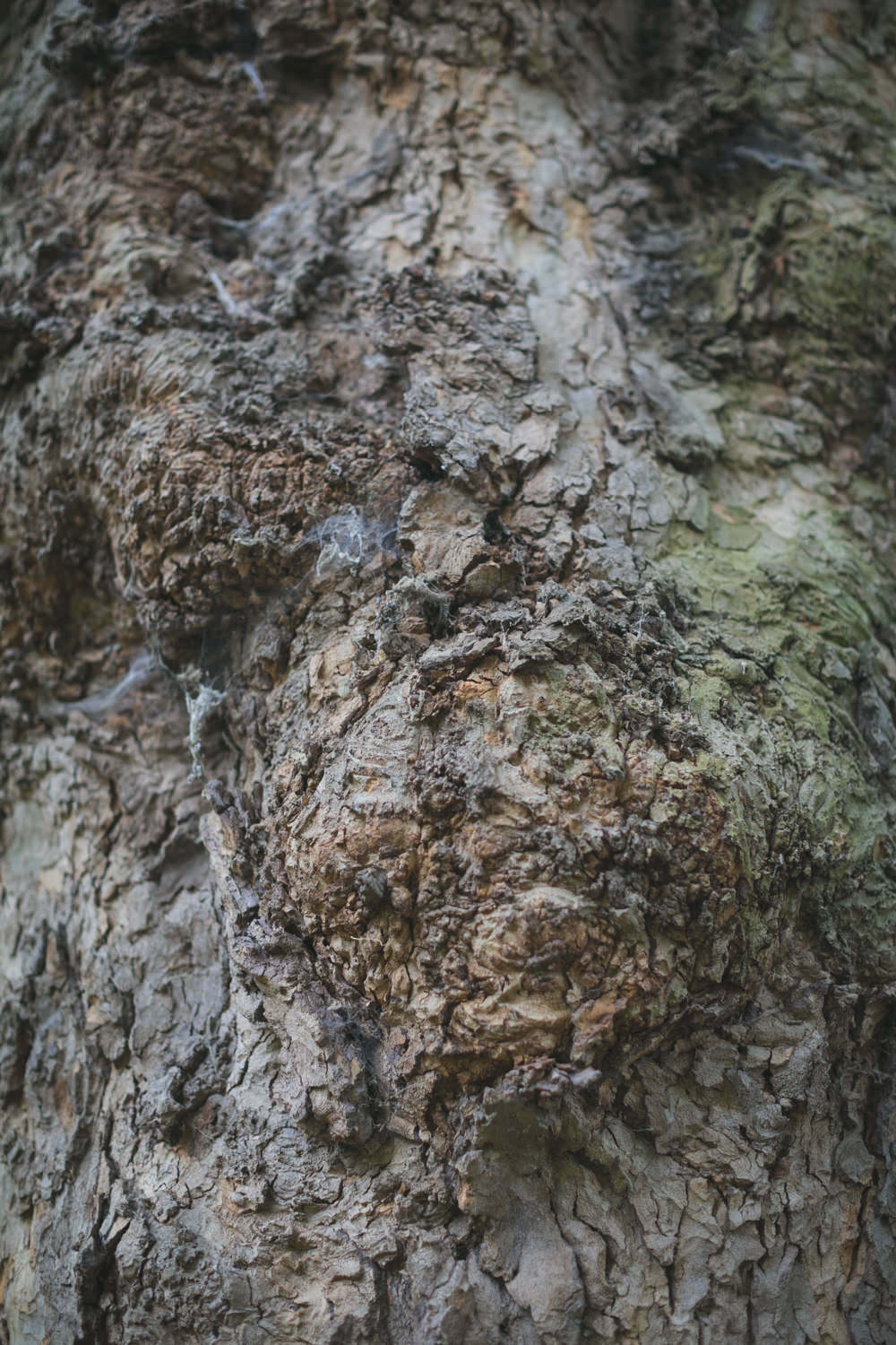 London Wedding Day After Session 1375