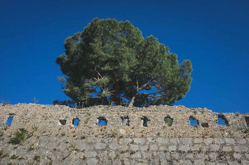 Saint Paul de Vence Wedding Proposal Family Photoshoot session 1967