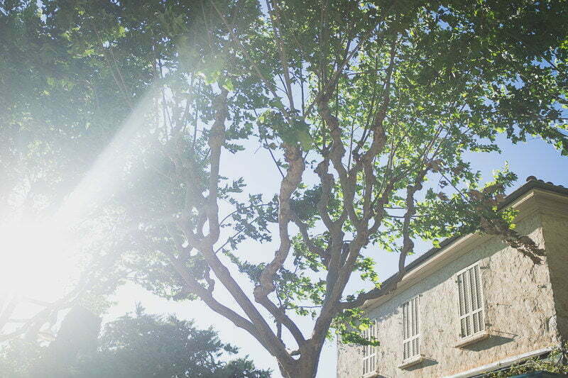 Saint Paul de Vence Wedding Proposal Family Photoshoot session 2062