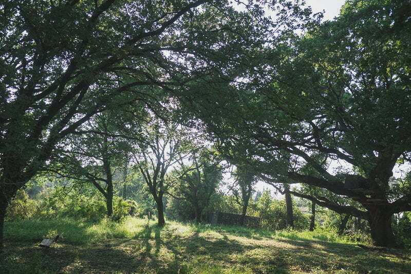 Wedding mariage Manoir Etang French Riviera 1009