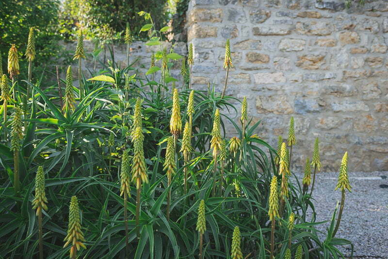 Wedding mariage Manoir Etang French Riviera 1020