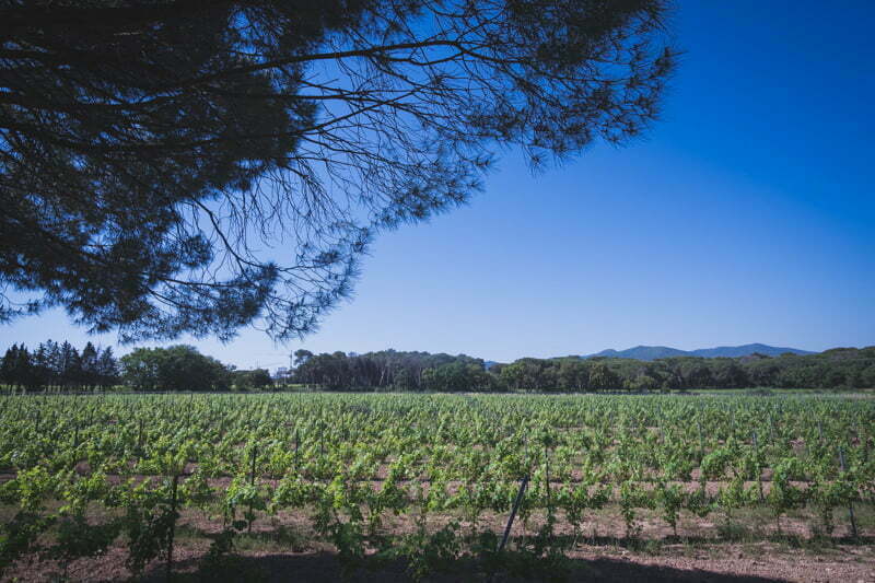 Mariage Wedding Provence Chateau VauCouleurs 7421