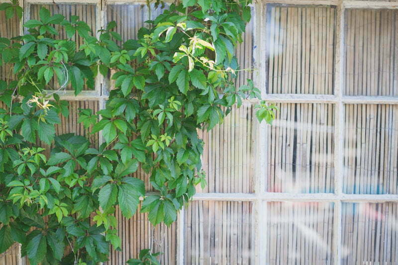 Mariage Wedding Provence Chateau VauCouleurs 9838