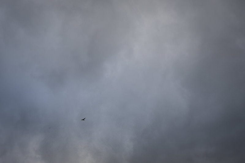 London love session 3568