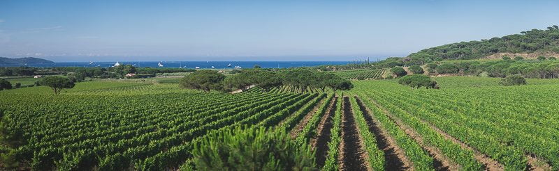 Intimage Elopement Wedding Saint Tropez French Riviera