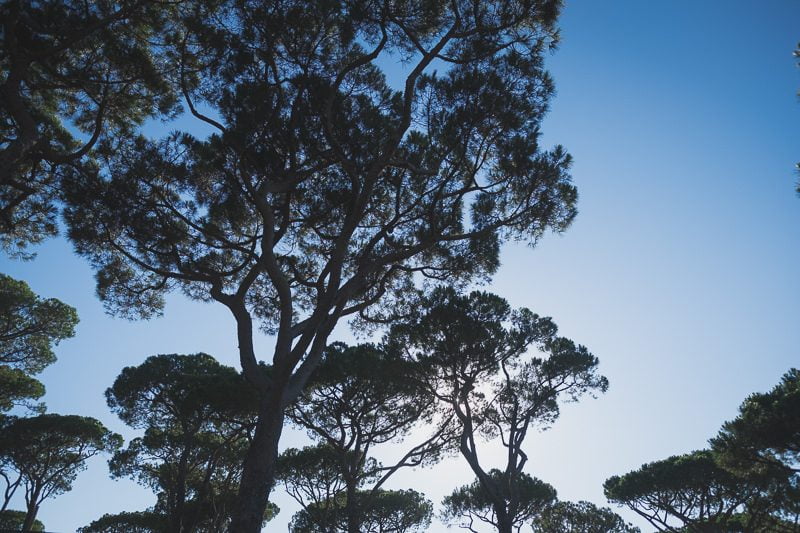 Intimage Elopement Wedding Saint Tropez French Riviera 38835