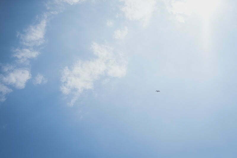 Mariage chateau Sainte Roseline Var Provence 5521