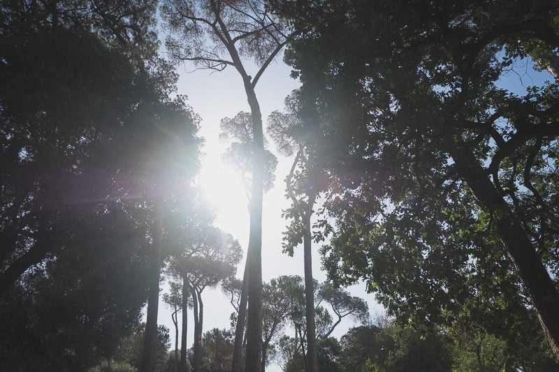 Wedding Day After Rome Italy 9824