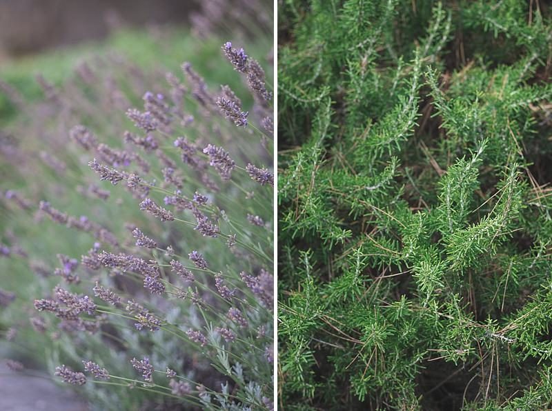 Irish wedding in Provence Chateau tour vaucros 3711