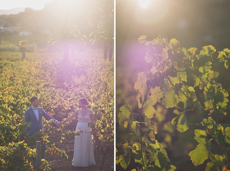 Celebrating they engagement in a vineyard after their proposal in Ramatuelle