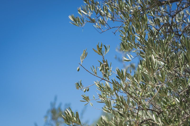Mariage Wedding Chateau Peyrassol Provence 001