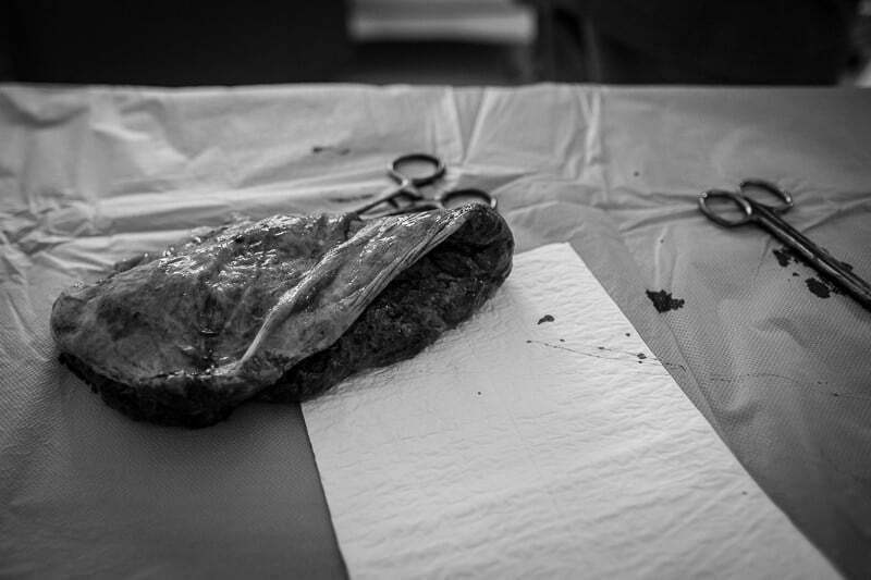 childbirth maternity pregnancy family French Riviera 7061