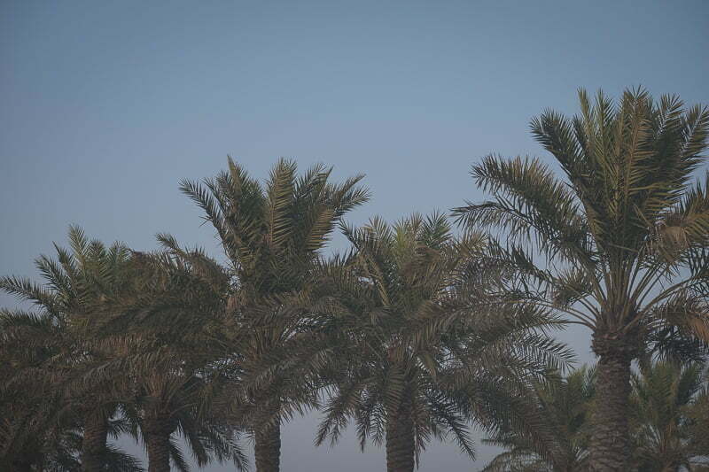 Family Session Bahrain Wedding Photographer 14309