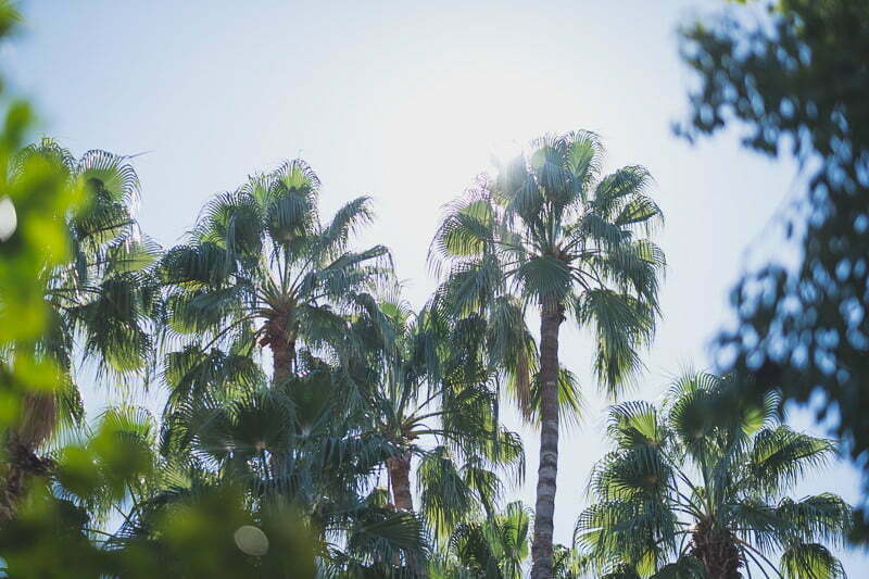 Jardin Majorelle Marrakech Post wedding couple photo session Morocco 25241