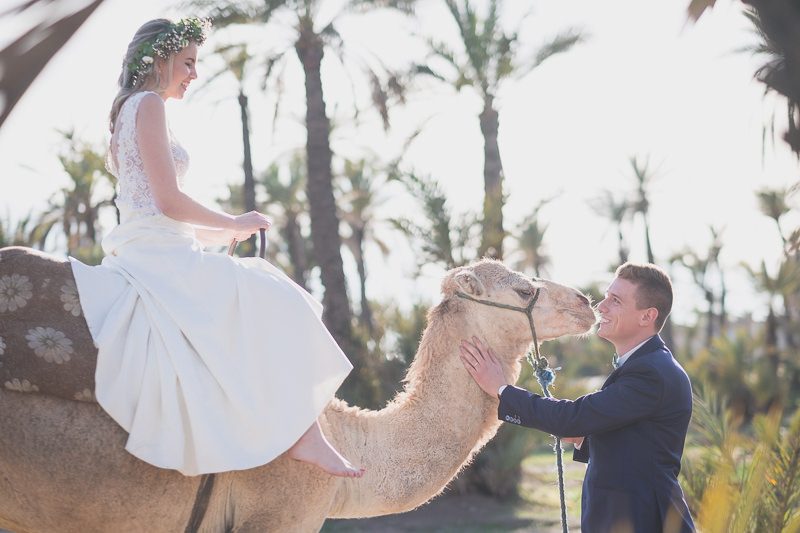 Marrakech plam trees grove Post wedding couple photo Morocco 24747