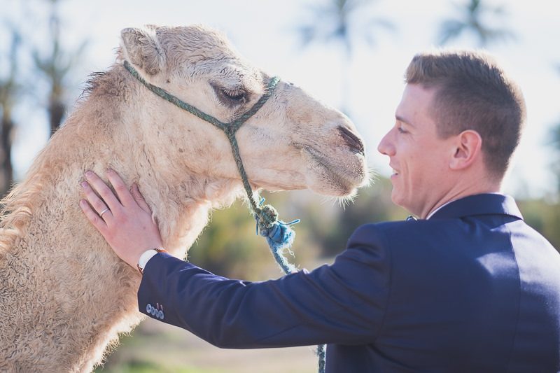 Marrakech plam trees grove Post wedding couple photo Morocco 24775