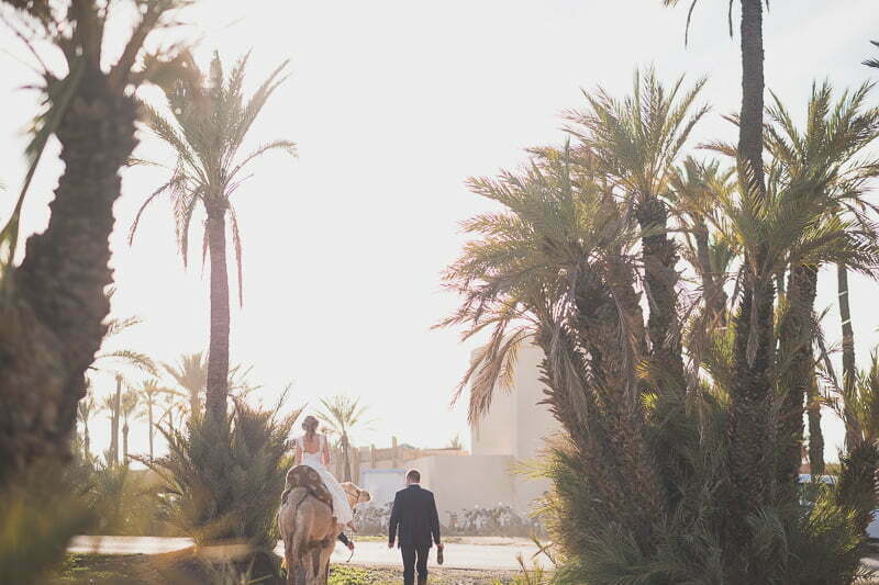 Marrakech plam trees grove Post wedding couple photo Morocco 24819