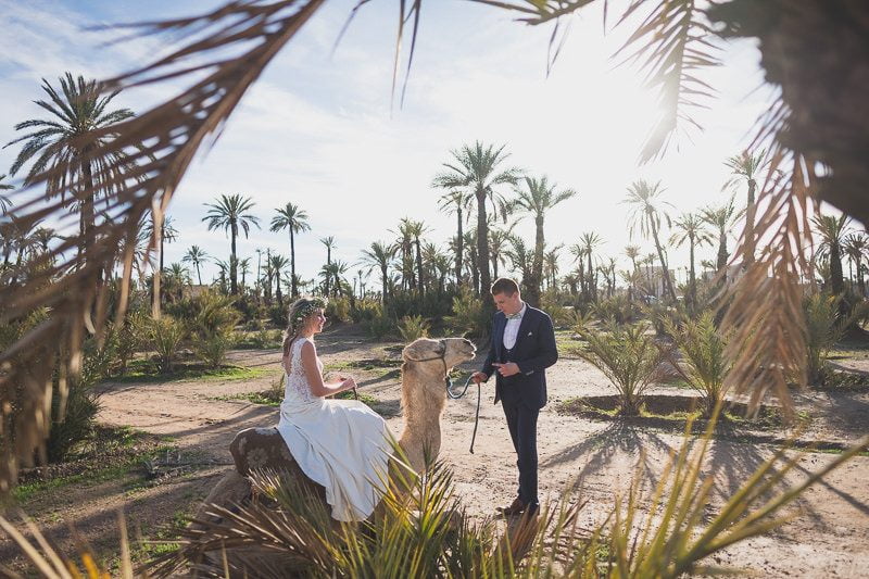 Marrakech plam trees grove Post wedding couple photo Morocco 25771