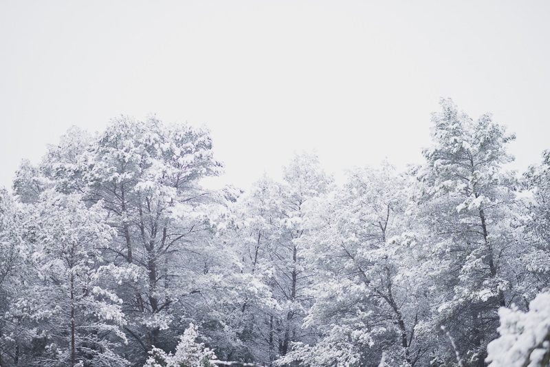 Snow Couple session French Riviera Bastide du Roy 1608