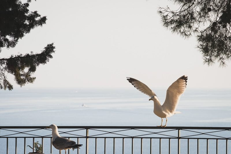 English Nigerian wedding proposal French Riviera Morocco 30