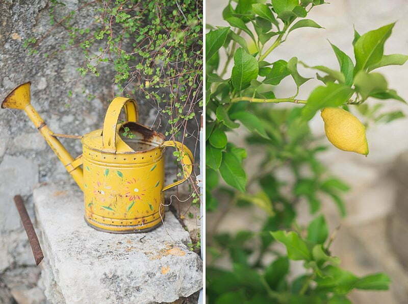 Lavender fields couple photo session south of France wedding 9347