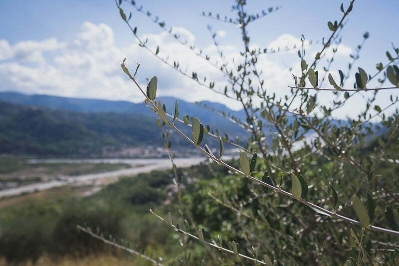 Chateau Haute Germaine Wedding Venue French Riviera 1006