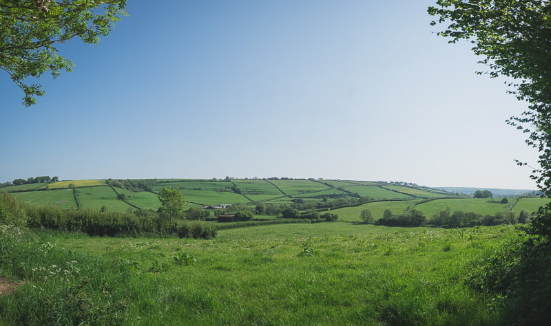 Countryside English garden Wedding UK England Dorset