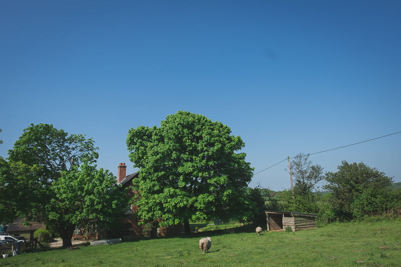 Countryside English garden Wedding UK England Dorset 9750