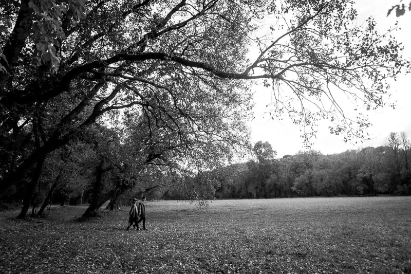 Pregnancy Maternity photo session French Riviera 1722