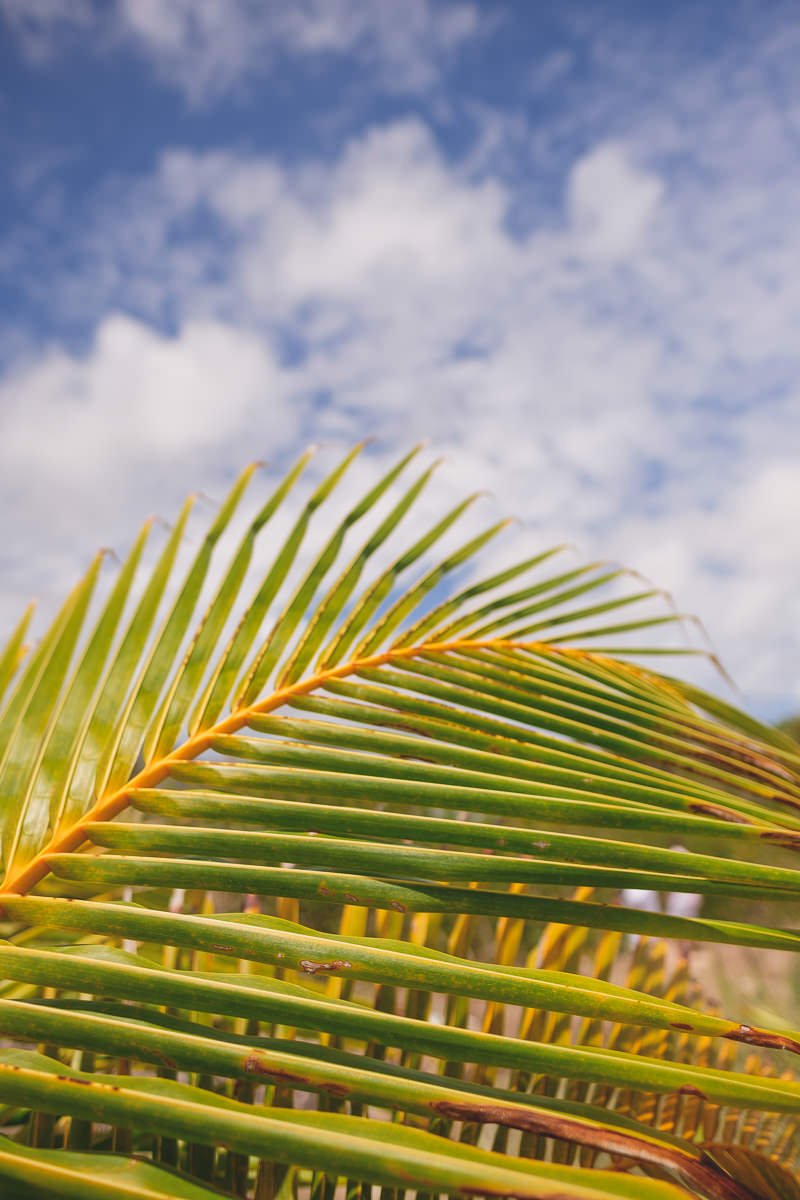 Post wedding maternity photo session Sint Maarteen caribbean 6740 9