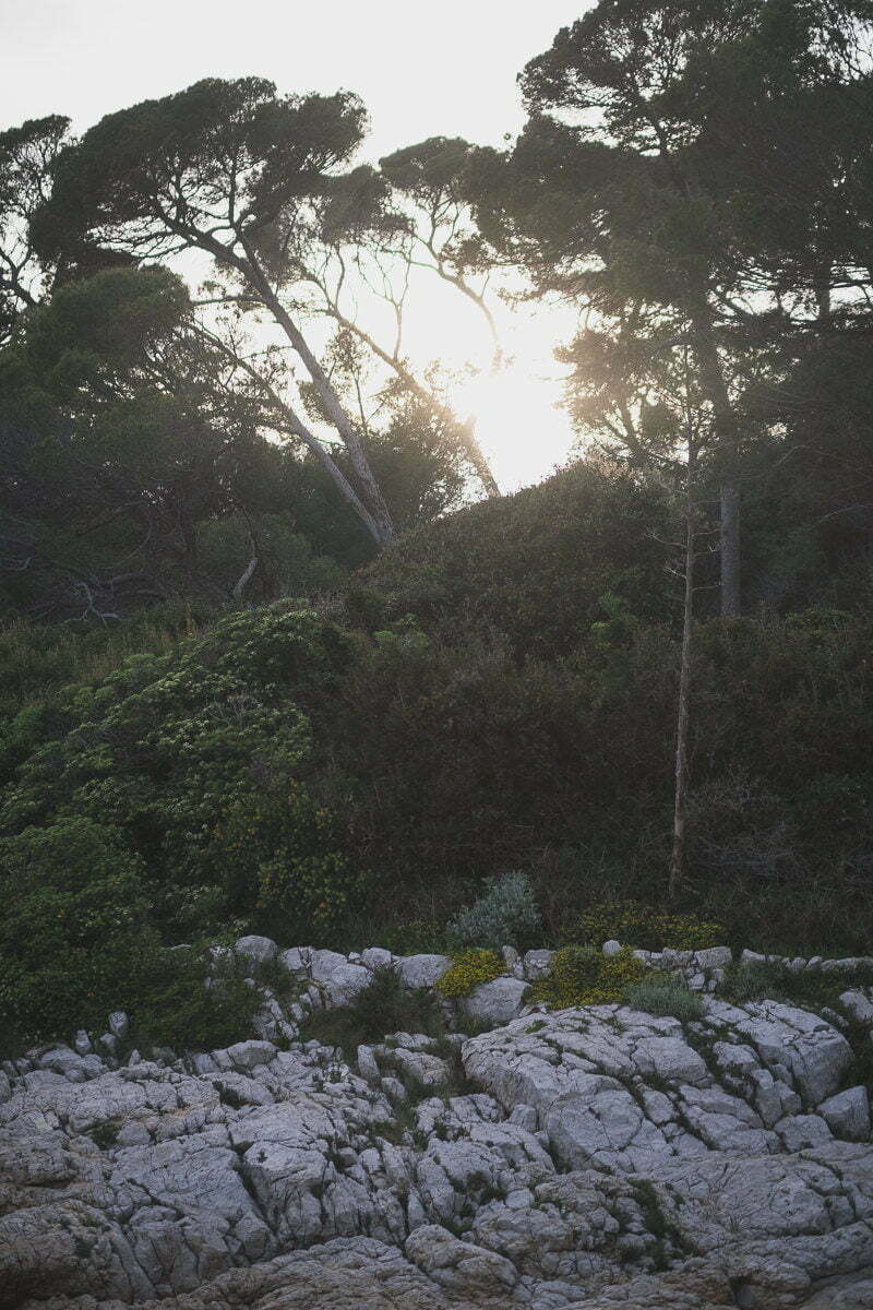 French Riviera Seaside wedding proposal 1007