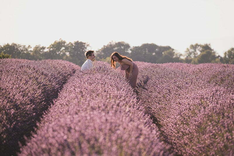 Lavender Wedding porposal Valensole Provence 1004