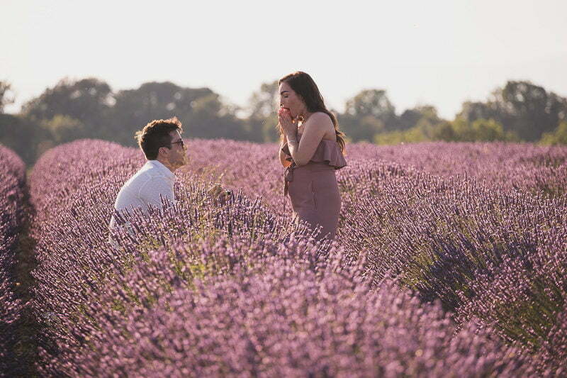 Lavender Wedding porposal Valensole Provence 1005