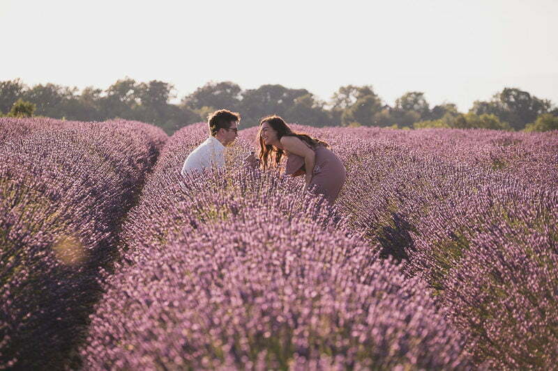 Lavender Wedding porposal Valensole Provence 1006