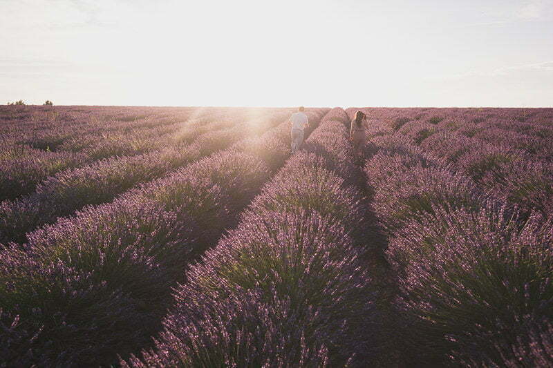 Lavender Wedding porposal Valensole Provence 1027