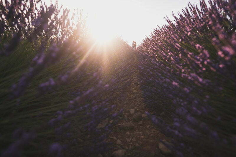 Lavender Wedding porposal Valensole Provence 1045