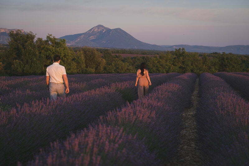 Lavender Wedding porposal Valensole Provence 1093