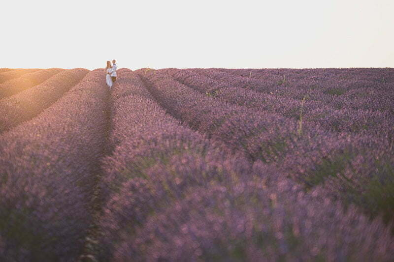 Lavender Honeymoon photo session Provence 5101