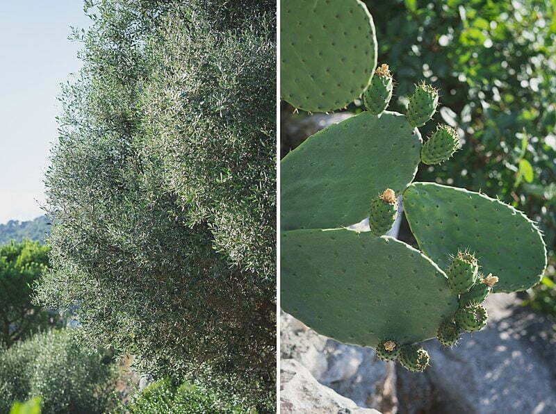 French Riviera Babymoon at Chateau Chevre d'Or. Maternity picture facing the coastline at sunset
Pictures by Wildroses
