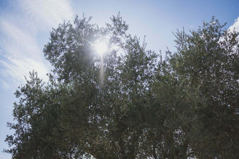 Wedding Mariage Chateau Rasque Var 101