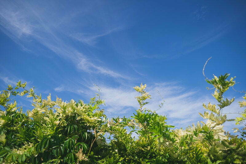 Wedding Mariage Chateau Rasque Var 112