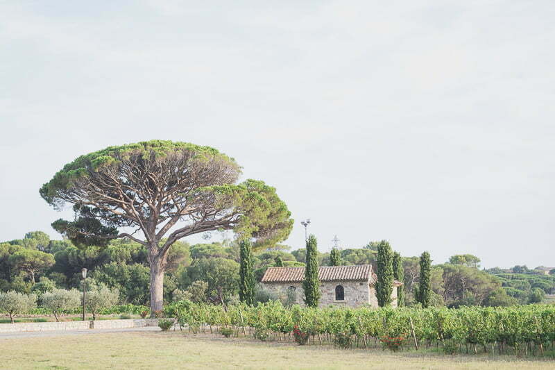 Vineyard Engagement session French Riviera 1135
