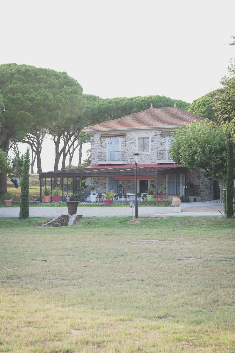 Vineyard Engagement session French Riviera 1136