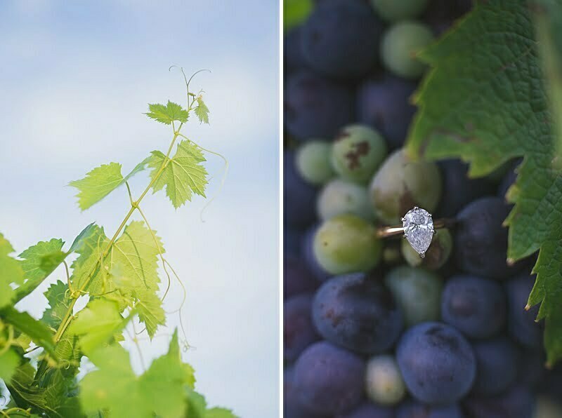 Vineyard Engagement session French Riviera 1141