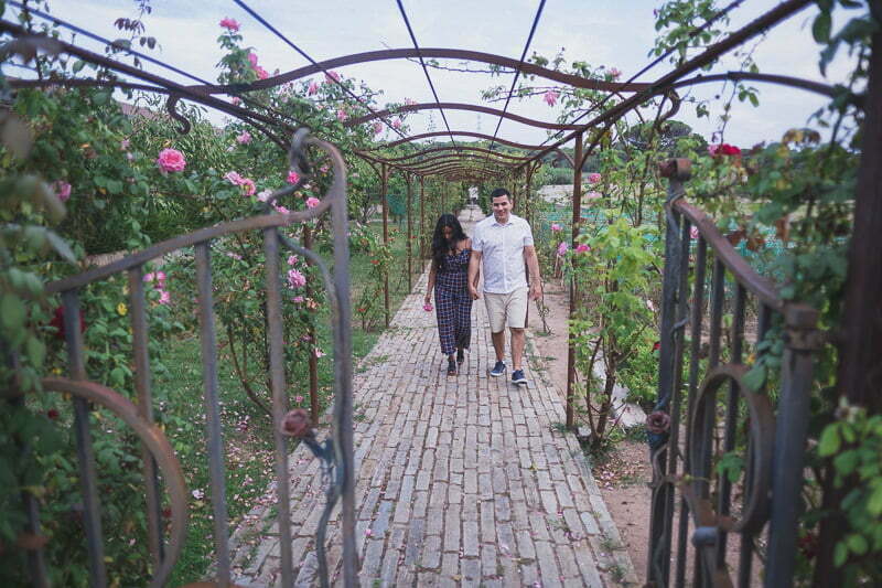 Vineyard Engagement session French Riviera 1195