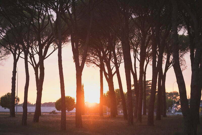 Vineyard Engagement session French Riviera 1237
