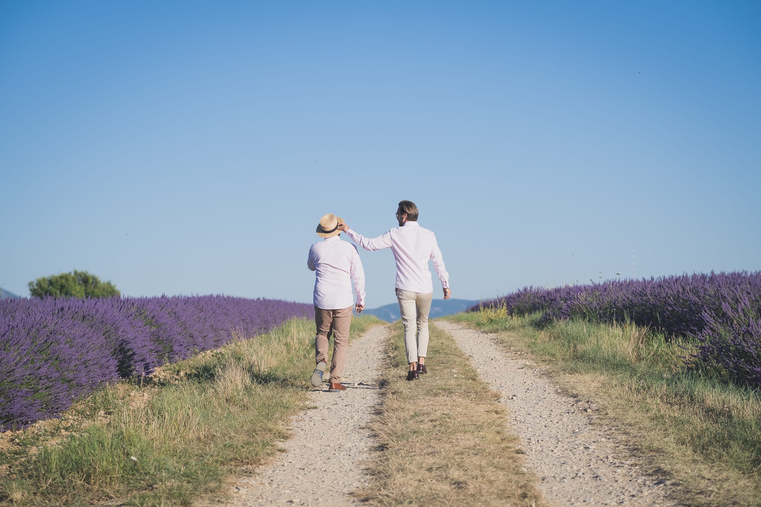 Same sex Lavender gay couple Valensole 1006