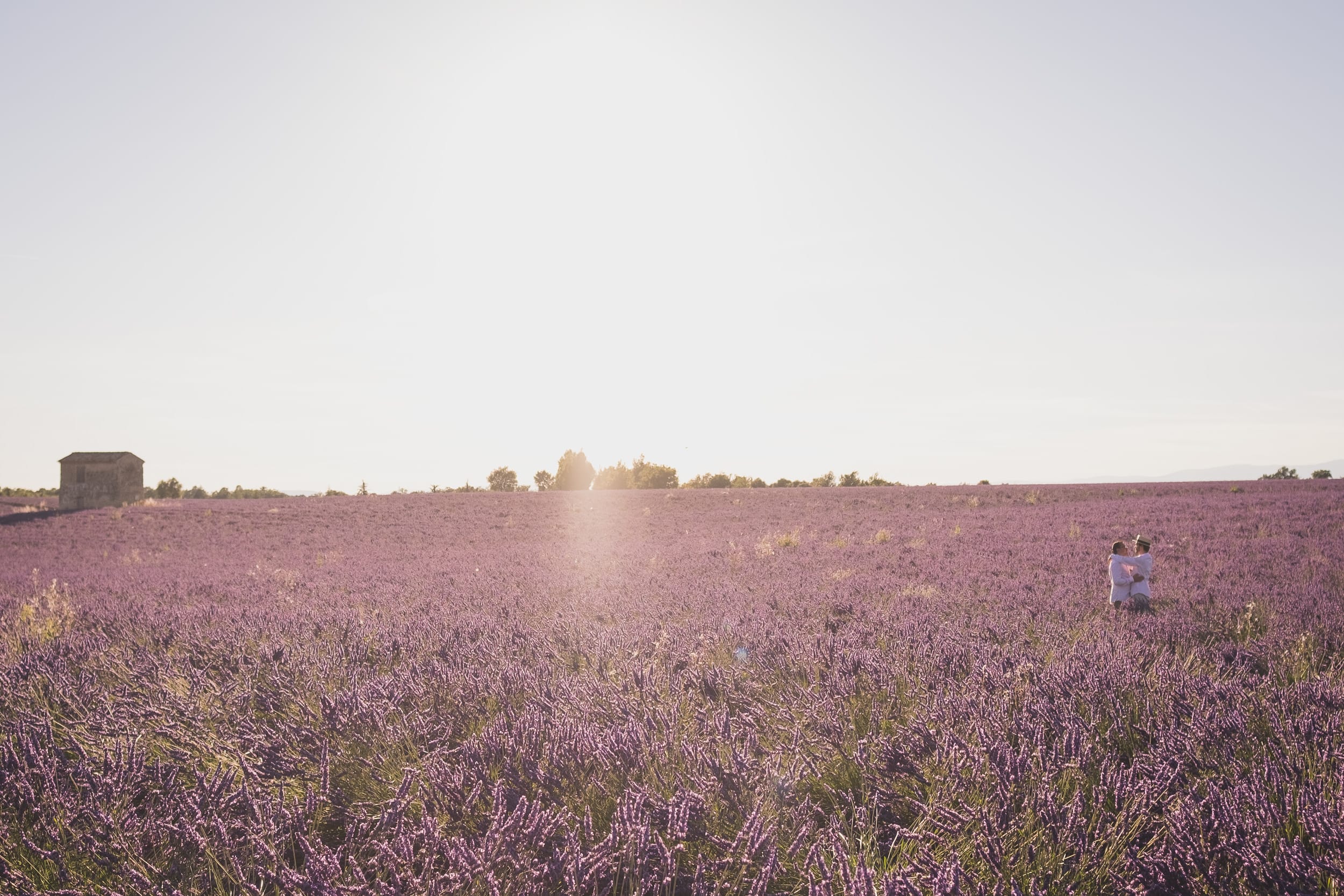 Same sex Lavender gay couple Valensole 1019