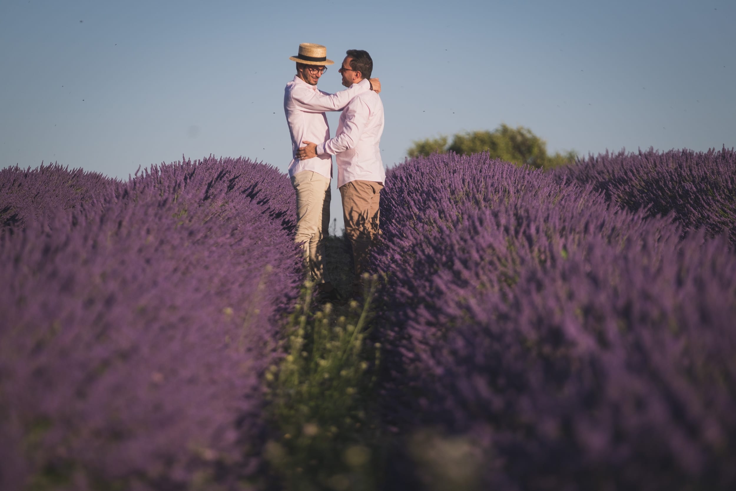Same sex Lavender gay couple Valensole 1051